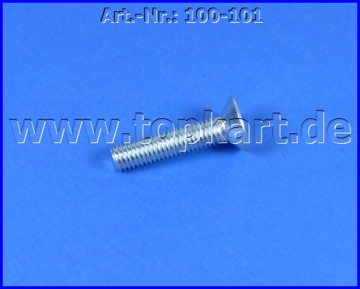 101 Senkschraube M6x25mm